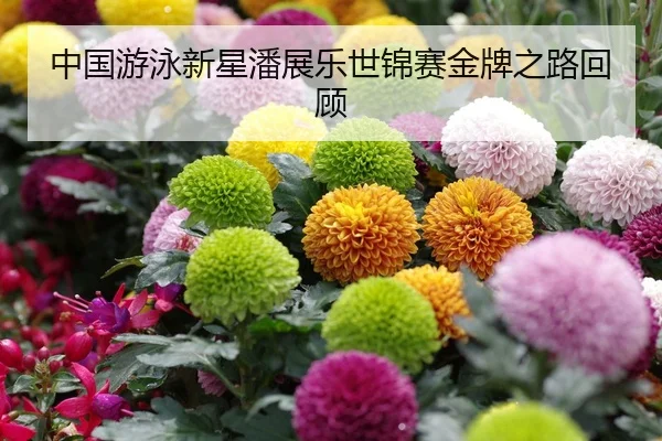 中国游泳新星潘展乐世锦赛金牌之路回顾